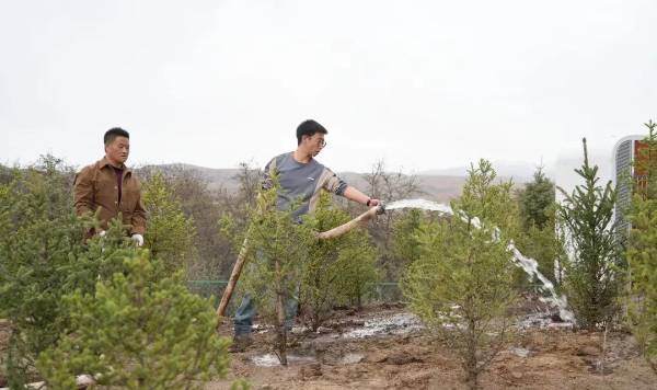 1752198833285441.png 7.png