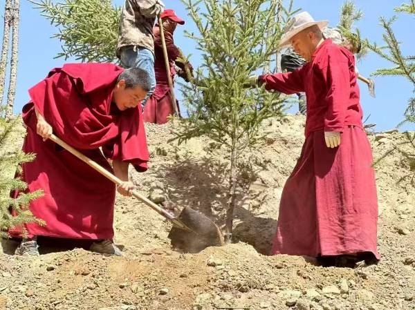 1752198850988850.png 9.png