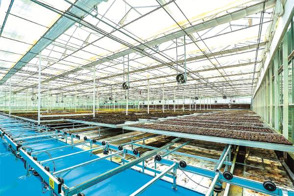 1752458082501282.jpg 2.jpg