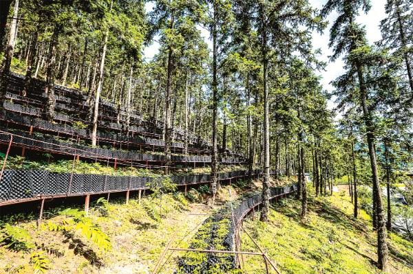 1752458107143708.jpg 4.jpg