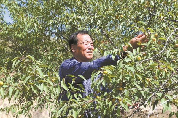 1752458270509200.jpg 5.jpg