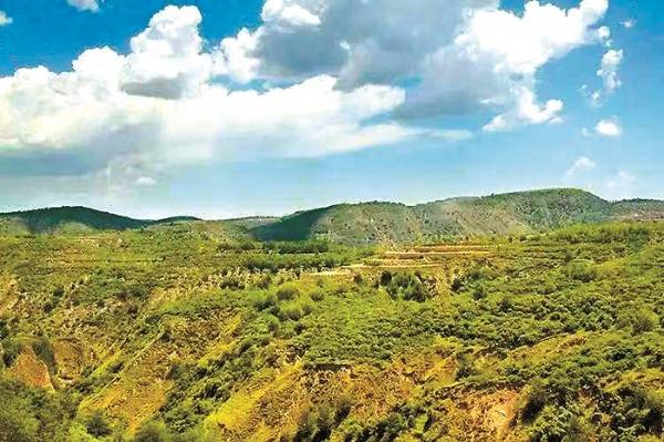 1752458281333425.jpg 6.jpg