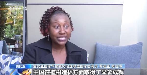 1752459008355580.jpg 12.jpg