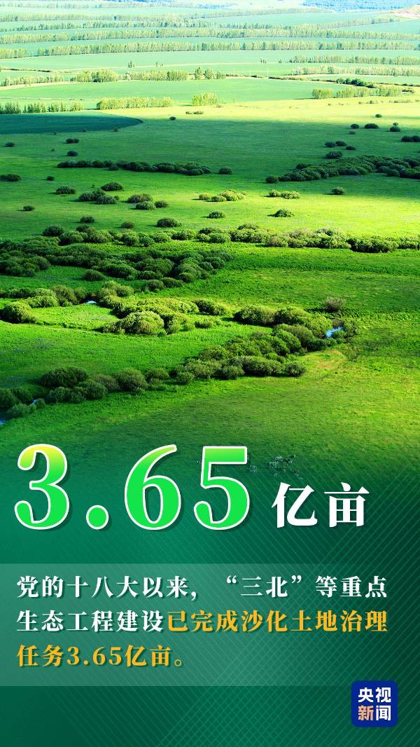 1752459259669000.jpg 13.jpg