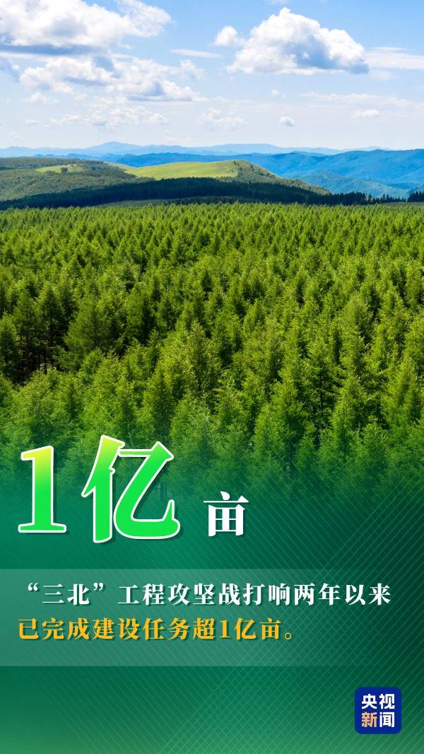 1752459266654441.jpg 14.jpg