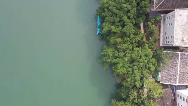 1752459552145893.jpg 27.jpg