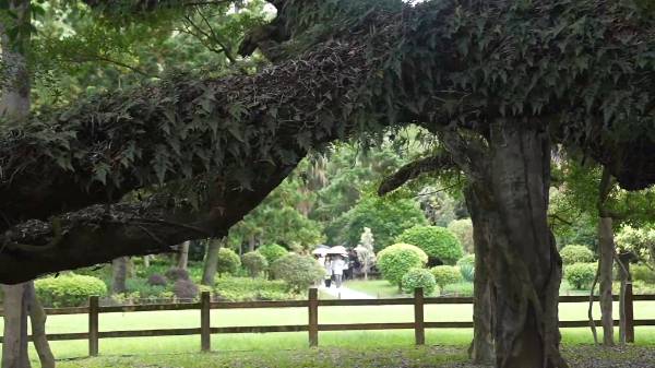 1752459556621272.jpg 28.jpg