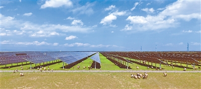 1752630678737104.jpg 1.jpg