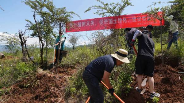 1752630846642125.jpg 1.jpg