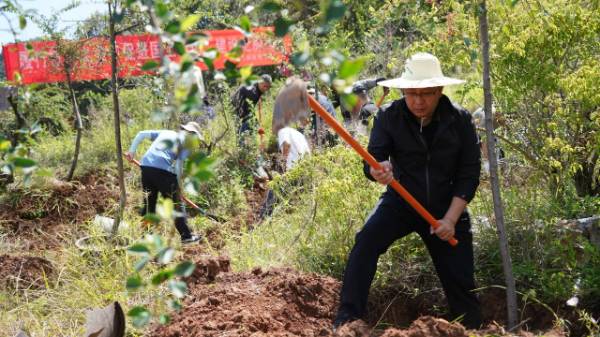 1752630865659029.jpg 2.jpg