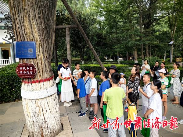 1752814919151418.jpg 1 (1).jpg