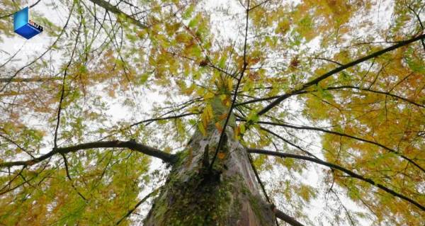 1753061820131933.jpg 2.jpg