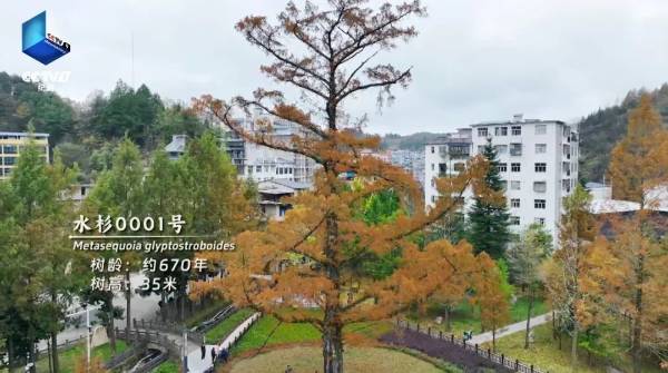 1753061850278958.jpg 3.jpg