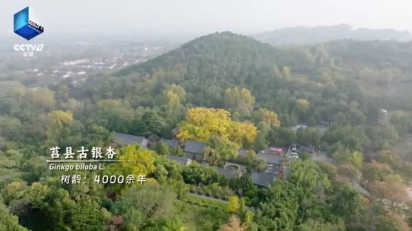 1753061856402884.jpg 4.jpg