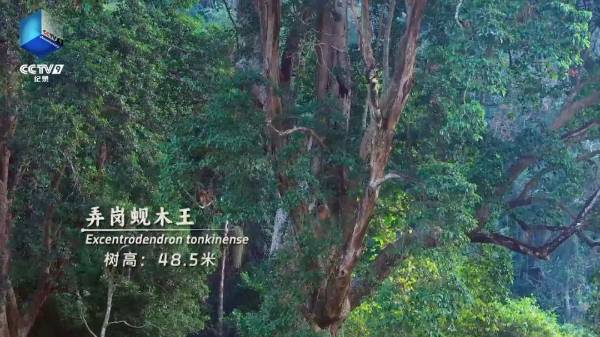 1753061872560294.jpg 6.jpg