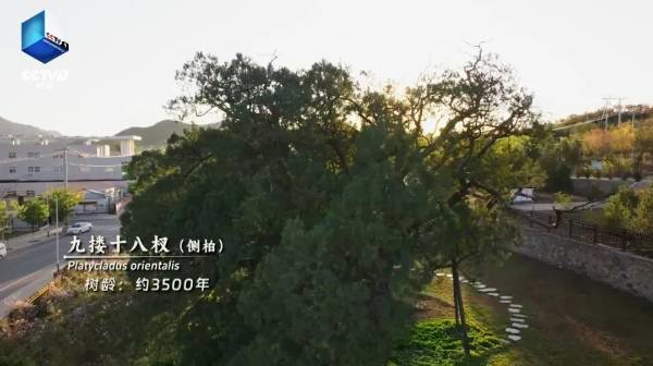 1753061878767443.jpg 7.jpg