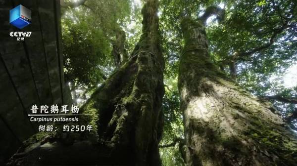 1753061884877253.jpg 8.jpg