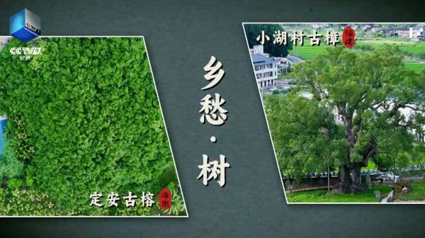 1753061896732506.jpg 10.jpg