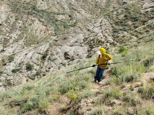 1753062708491728.jpg 1 (1).jpg