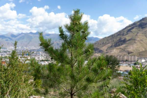 1753062719464608.jpg 2 (1).jpg