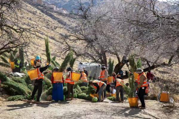 1753062730872749.jpg 3 (1).jpg