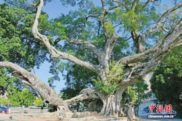 1753235579874751.jpeg 2 (1).jpeg