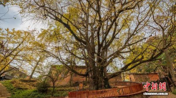 1753235605256215.jpeg 3 (1).jpeg