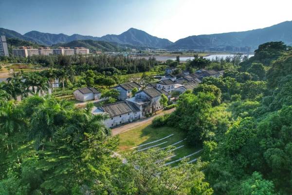 1753236455270444.jpg 1 (1).jpg