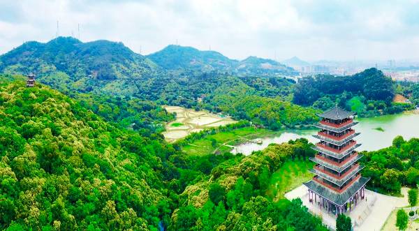 1753236465884762.jpg 2 (1).jpg