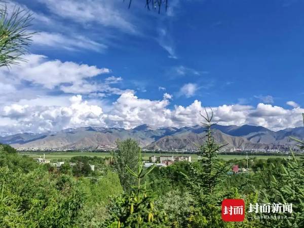 1753320687965191.jpg 1 (1).jpg