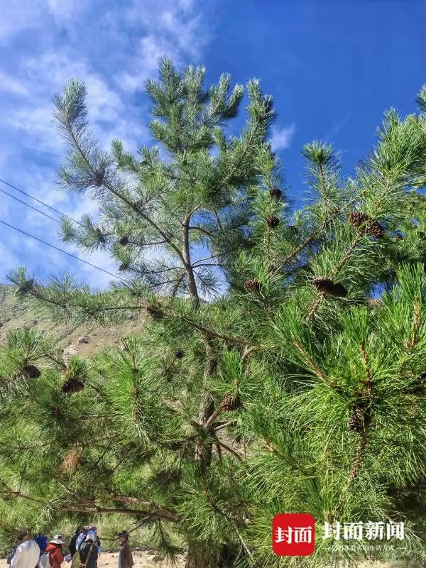 1753320712256533.jpg 3 (1).jpg