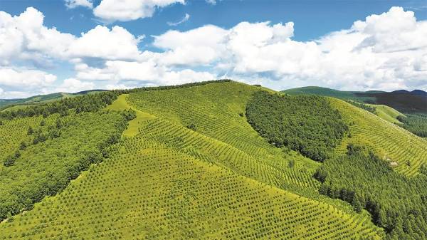 1753321881962695.jpg 9 (1).jpg