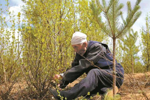 1753754390711133.jpg 1 (1).jpg