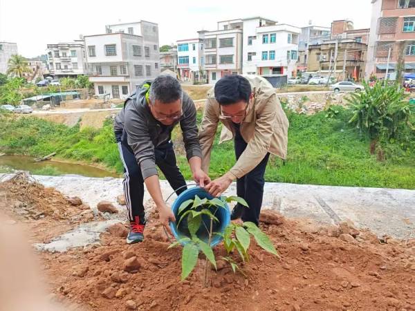 1753755292493095.jpg 4 (1).jpg