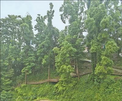 1753757770761450.jpg 7.jpg