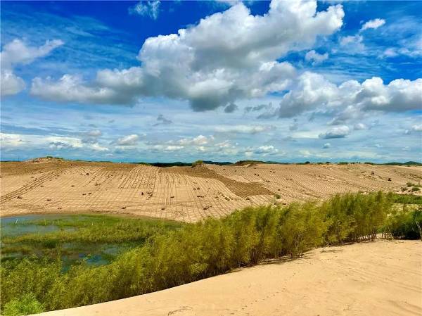 1753843873623039.jpg 2.jpg