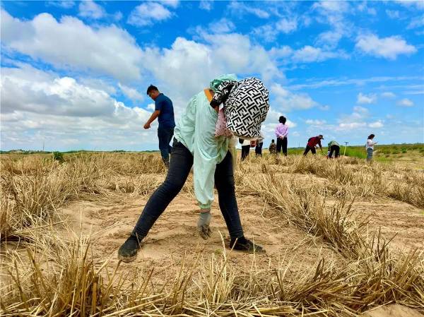 1753843879735780.jpg 3.jpg