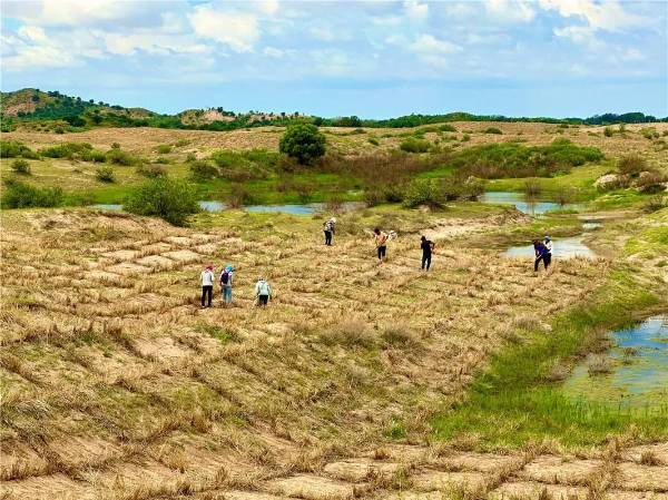 1753843886746773.jpg 4.jpg