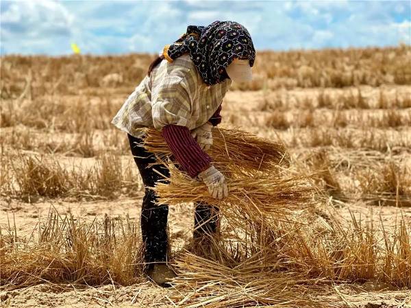 1753843901632122.jpg 5.jpg