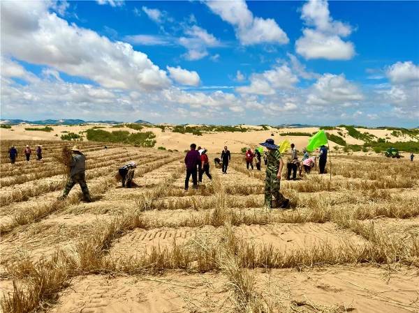 1753843908109393.jpg 6.jpg