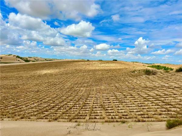 1753843914995843.jpg 7.jpg