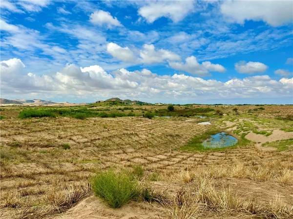 1753843921732666.jpg 8.jpg