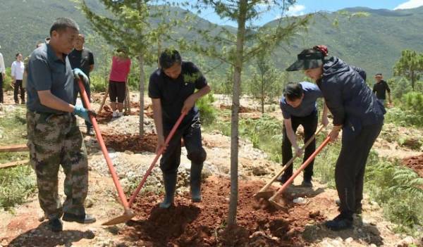 1753844850310534.jpg 9 (1).jpg