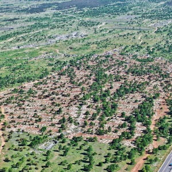 1753844871370919.jpg 10 (1).jpg