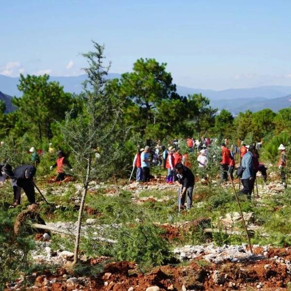 1753844878890259.jpg 11 (1).jpg