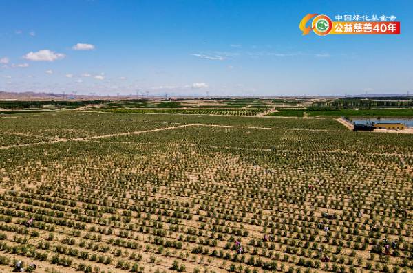 1753845203156011.png 3.png