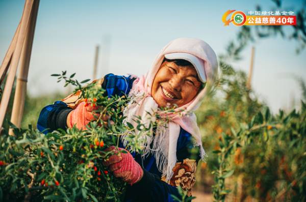 1753845211925926.png 4.png