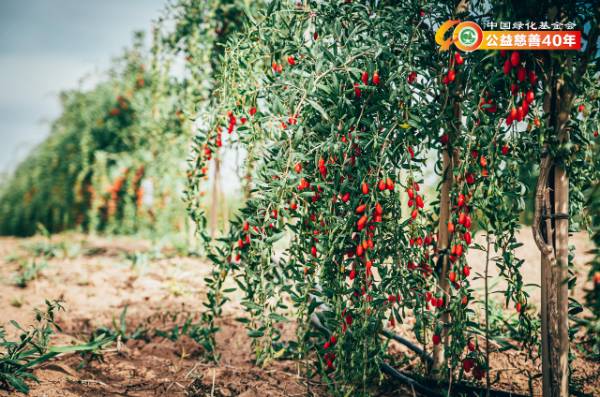 1753845222831289.png 5.png