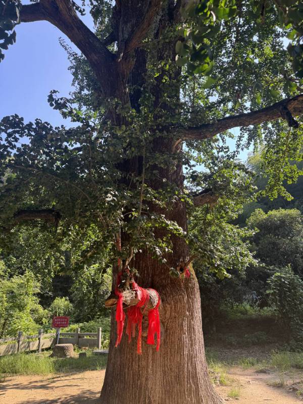 1753926721896368.jpg 1 (1).jpg