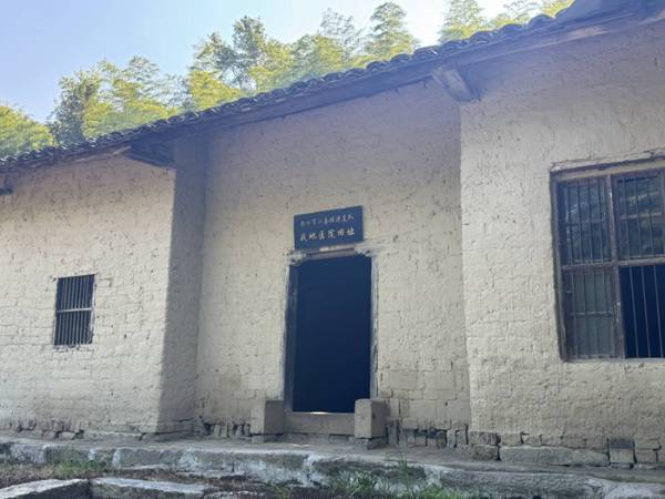 1753926728120077.jpg 2 (1).jpg